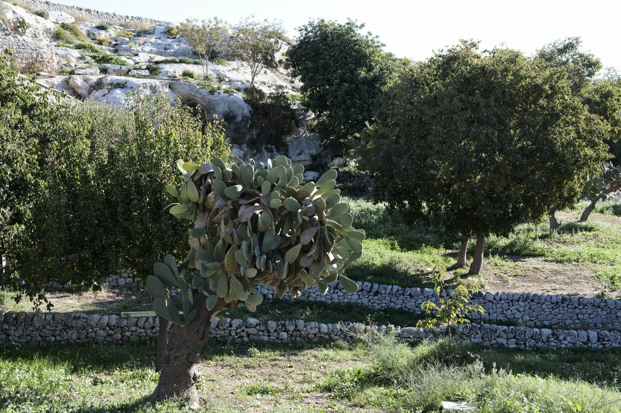 Valle Dell'Acanto 莫迪卡 外观 照片
