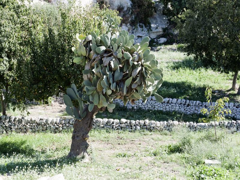 Valle Dell'Acanto 莫迪卡 外观 照片